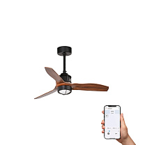 черный/орех, TUYA