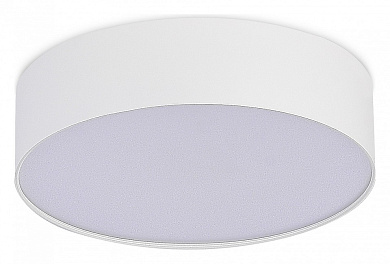 потолочный светильник цилиндрической формы белого цвета с матовым рассеивателем