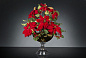 BOWL ALICE RED STAR Цветочная композиция со стеклянной вазой VGnewtrend