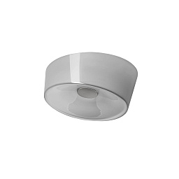 FN191025E_24 Foscarini Lumiere потолочно-настенный светильник с серым корпусом и рассеянным освещением