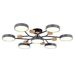 SLE6006-702-07 ST-Luce Faema потолочный светильник