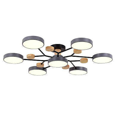 Потолочный светильник Evoluce Faema SLE6006-702-07