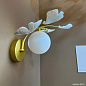 Бра Crystal Lux COLIBRI AP1 GOLD — фото 2