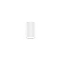 TRAM OUTDOOR CEILING SURF 1.0 LED 3000K W