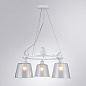 A4289LM-3WH Arte Lamp Passero подвесная люстра E27 3х40W 450Lm — фото 1
