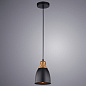 A4248SP-1BK Arte Lamp Eurica подвесной светильник E27 1х60W 800Lm — фото 1