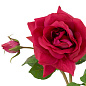 119283 Eichholtz Roses букет из роз — фото 4