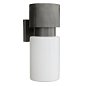Уличный настенный светильник Arteriors Crawford Outdoor — фото 4