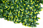 PITTOSPORUM зеленая стена из искусственных растений, VGnewtrend