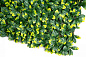 PITTOSPORUM зеленая стена из искусственных растений, VGnewtrend — фото 4