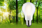 29255 Paulmann LED Pear 470 лм 2,5 Вт 3000 К с регулировкой яркости, матовый — фото 2