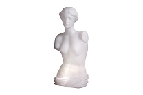 VENUS