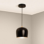 039550 Arlight Светильник SP-PEONY-HANG-R250-15W Warm3000 (BK, 65 deg, 230V) — фото 2