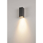 229525 SLV THEO QPAR51 WL anthracite IP44 настенный светильник — фото 2