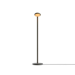 PAF1-50 Grau Parrot FLOOR BLACK BRASS Торшер черный