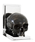 107945 Bookend Skull set of 2  держатель для книг Eichholtz