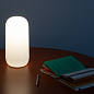 Artemide Gople TL Portable портативный светильник — фото 5