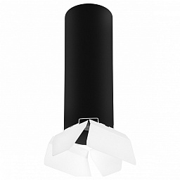 R6497486 Lightstar Rullo 3 накладной потолочный светильник черный с декоративными лепестками