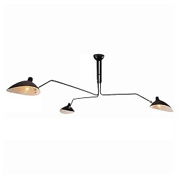 Люстра L'Arte Luce Spider L05603