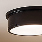 Serca 18" 3 Light Flush Mount Black потолочный светильник 52541BK Kichler — фото 1