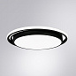 A2688PL-1BK Arte Lamp Sonny потолочный светильник LED 1х100W 6000Lm 3000-6500K — фото 1