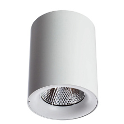 A5118PL-1WH Arte Lamp FACILE точечный накладной светильник