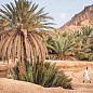Принт Moroccan Oasis Eichholtz 118557 — фото 1
