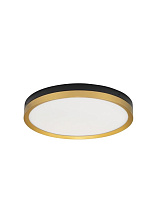 Black & Brass Gold Metal & Acrylic LED 31 Watt 220-240 Volt 1916Lm 3000K IP20 D: 40 H: 5 cm