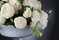 CAMILLA ROSES Искусственное растение VGnewtrend — фото 2