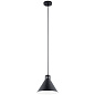 Zailey 9.5" 1 Light Pendant Black подвесной светильник 52176BK Kichler — фото 1
