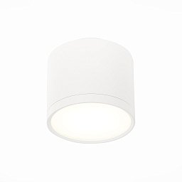 Потолочный светильник ST Luce Rene ST113.542.09