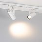 Оптический аксессуар Arlight LGD-ARTIFACT-OVAL-LENS-R65 ARTIFACT — фото 3