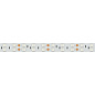 011262 Arlight Лента RT 2-5000 24V Green 2x2 (5060, 600 LED, LUX) — фото 1