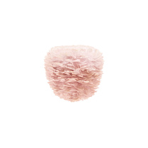 Eos Evia Mini light rose Ø 30 x 26 cm