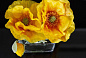 ETERNITY POPPY CUBE Цветочная композиция со стеклянной вазой VGnewtrend — фото 5