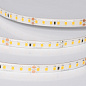 057515 Arlight Лента герметичная RTW-SE-A140-8mm 24V Day4000 (5 W/m, IP65, 5m) — фото 2