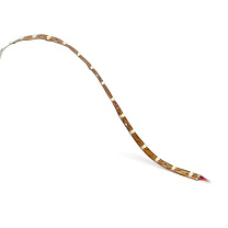 Led strip On Basic 28,8 144W 3000K CRI 80 IP20 2682lm