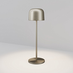 Уличный настольный светильник Maytoni Noble O528TL-L2PTCCT