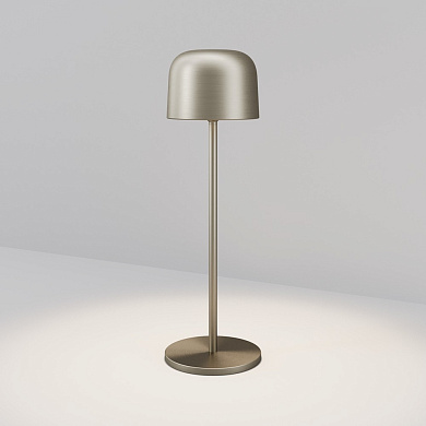 Уличный настольный светильник Maytoni Noble O528TL-L2PTCCT