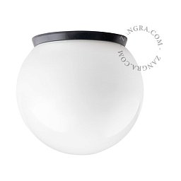 Настенно-потолочный светильник Zangra 130 шар IP65