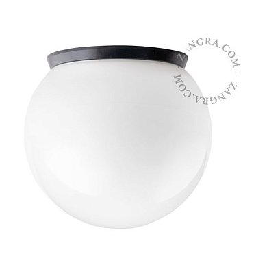 Настенно-потолочный светильник Zangra 130 шар IP65