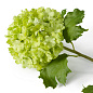 119294 Eichholtz Hydrangeas букет из гортензий — фото 4