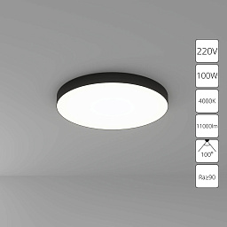 A6699PL-1BK Arte Lamp FADO потолочный светильник с большим матовым рассеивателем
