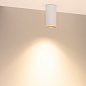 Накладной потолочный светильник Arlight SP-SALT-R75-15W — фото 4
