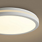 Потолочный светильник Rua Freya FR6160CL-L40W — фото 7