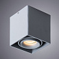 A5654PL-1GY Arte Lamp Pictor точечный накладной светильник GU10 1х50W — фото 1