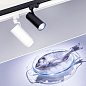 032477 Arlight Светильник LGD-GERA-4TR-R90-30W Cool SP7500-Fish (BK, 24 deg, 230V) — фото 1