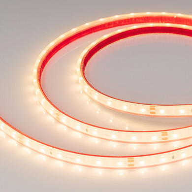 034159 Arlight Лента герметичная RTW-PFS-A60-11mm 24V Warm3000 (4.8 W/m, IP68, 2835, 5m)