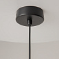 MOD303PL-01CFL3 Maytoni Palette Подвесной светильник 40W Черный — фото 10