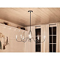 Freesia 8 Light Chandelier Anvil Iron with White Accents люстра 52456AVI Kichler — фото 4